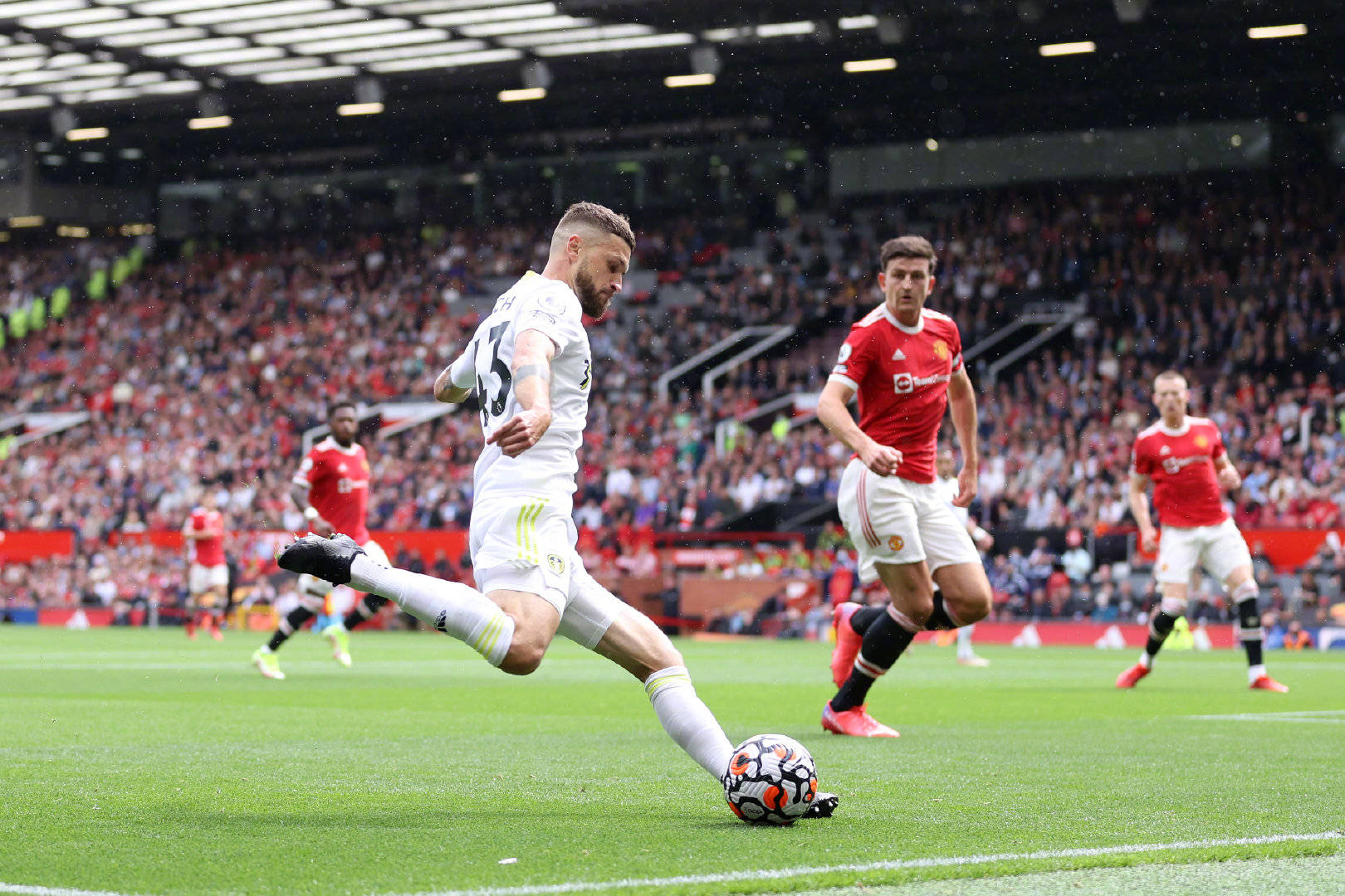 已经显露出 已经显露出